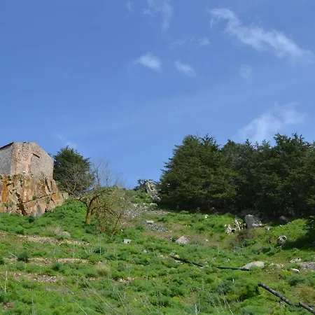 Апартаменты Casa Panoramica Castelverde San Mauro Castelverde